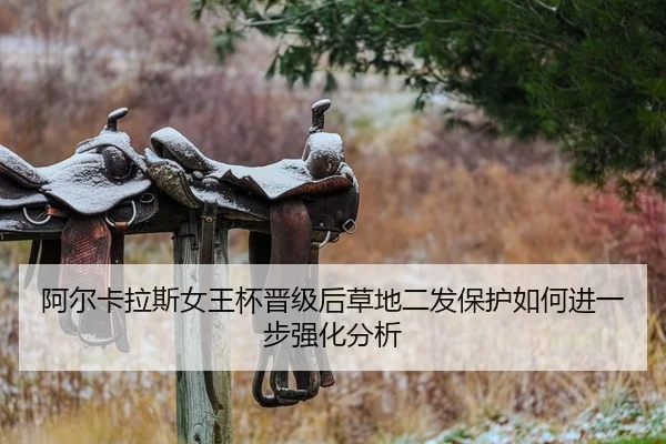 a-er-ka-la-si-nv-wang-bei-jin-ji-hou-cao-di-er-fa-bao-hu-ru-he-jin-yi-bu-qiang-hua-fen-xi-2-424.jpg