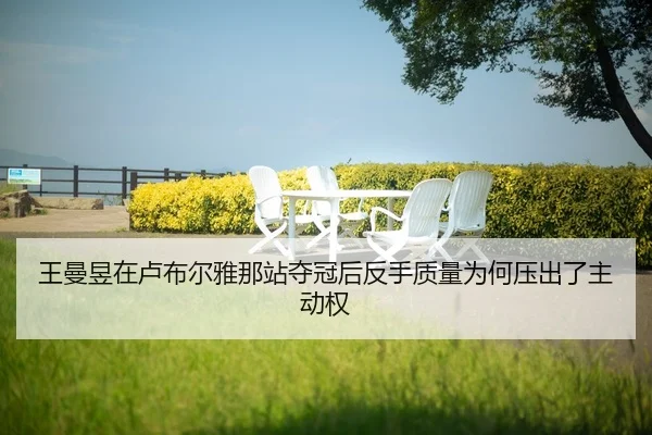 wang-man-yu-zai-lu-bu-er-ya-na-zhan-duo-guan-hou-fan-shou-zhi-liang-wei-he-ya-chu-le-zhu-dong-quan-2-336.jpg